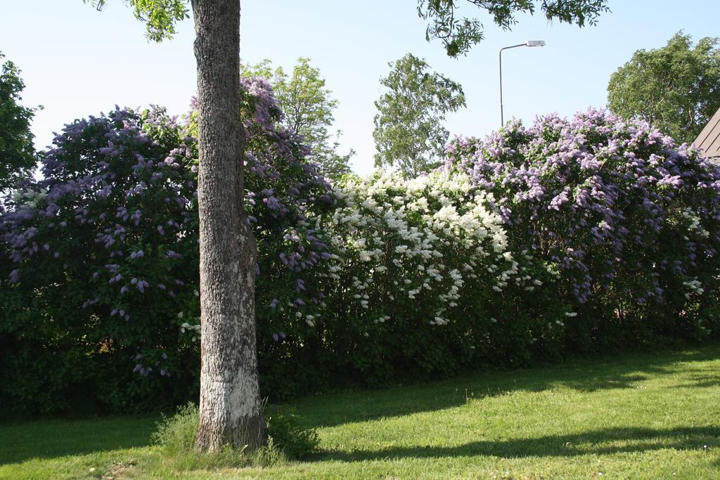 Gaesthem Kronan Mariehamn Quarto foto